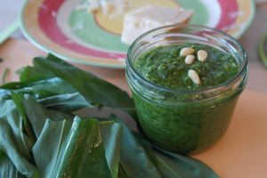 bears garlic 748542 1920 300x200 - bears-garlic-748542_1920