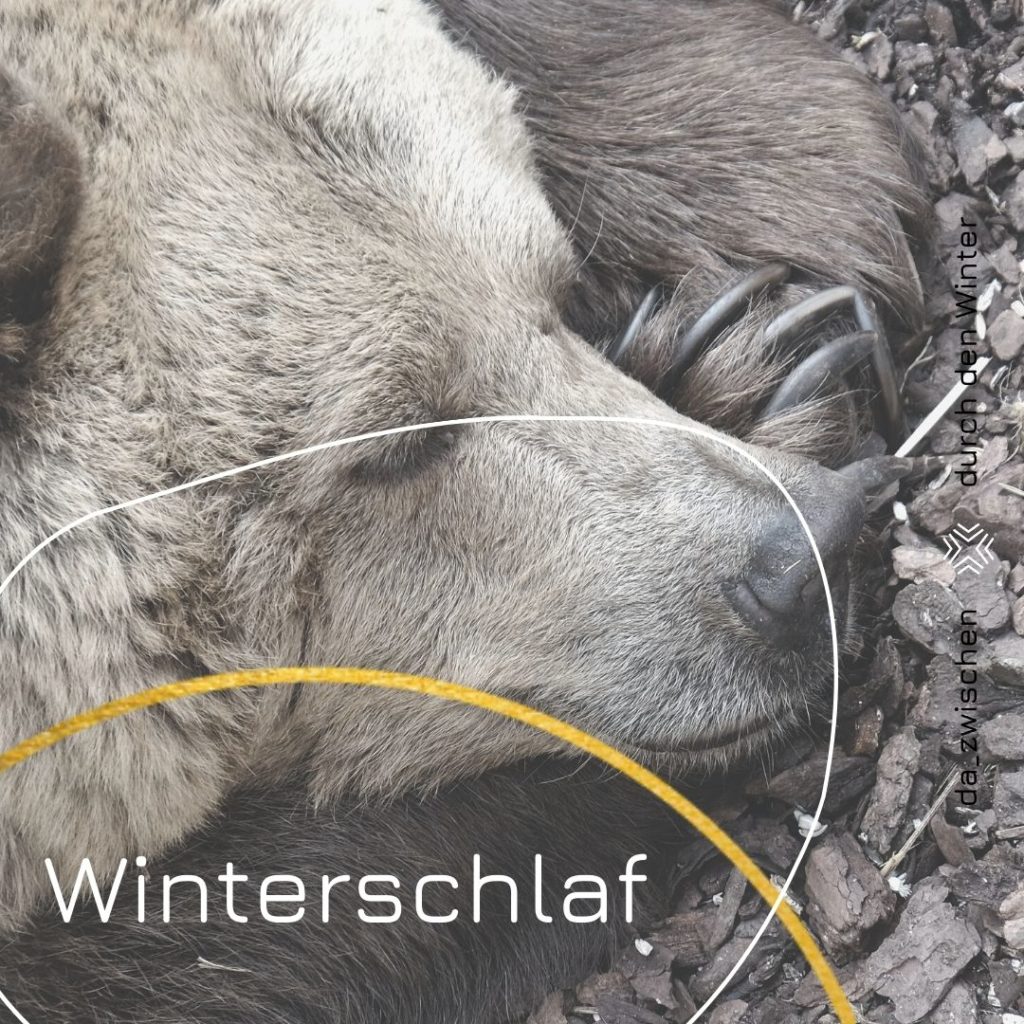 Kopie von DURCH DEN WINTER zum bearbeiten von allen 1024x1024 - Winterschlaf