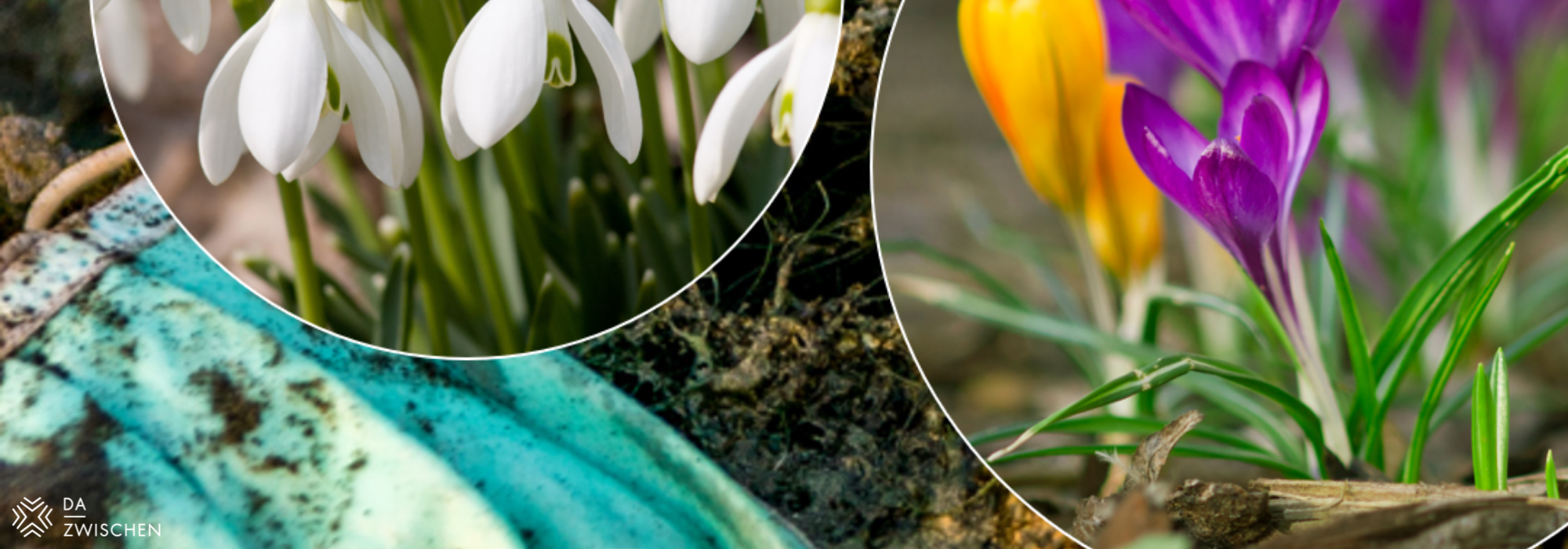 Header Hompage - "Blumen über Dreck"