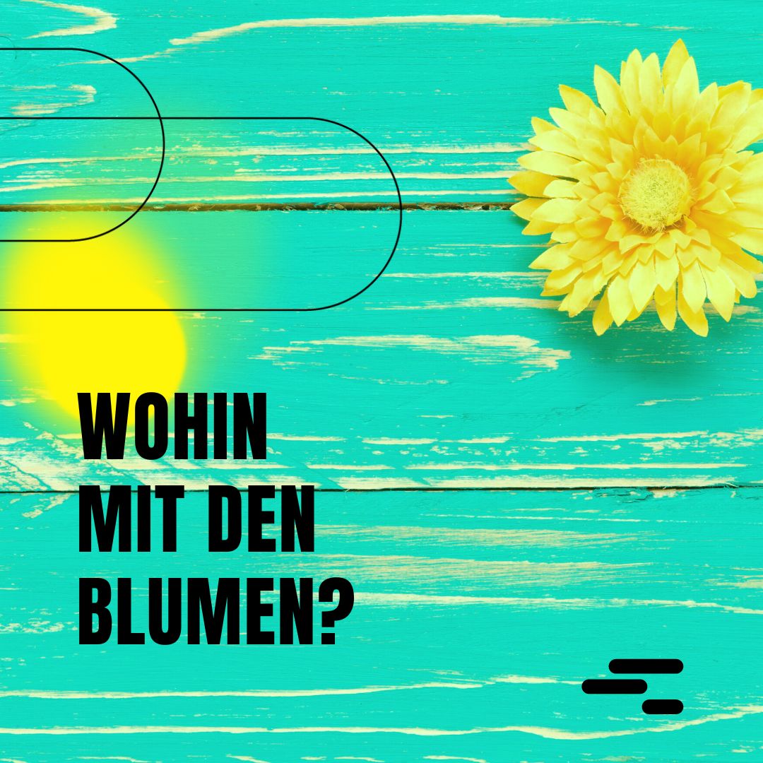 fa0c9551fb04ea7599c8b4ddf32c4e3f - Wohin mit den Blumen?