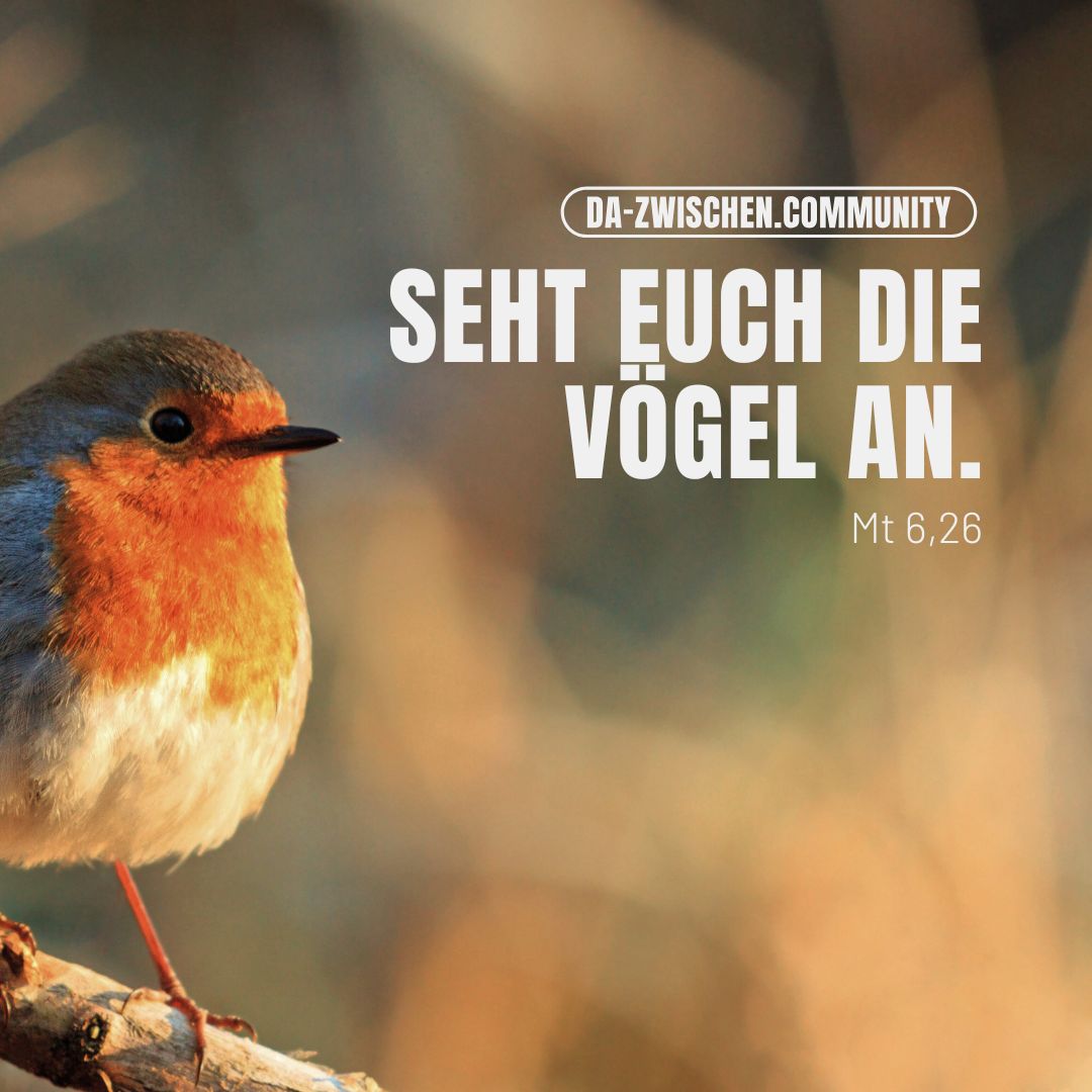 erzähle, worauf du vertraust Erzaehle worauf du vertraust1 - erzähle, worauf du vertraust