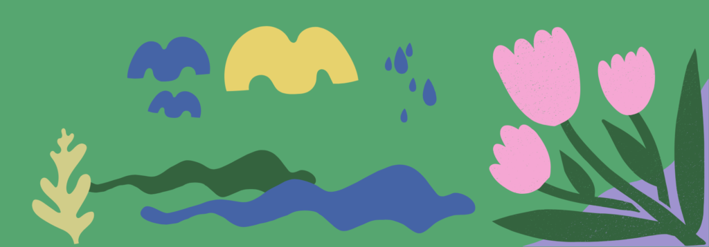 Instagram – Text gross 2000 x 700 px 1024x358 - 🌍 September – Schöpfungsmonat